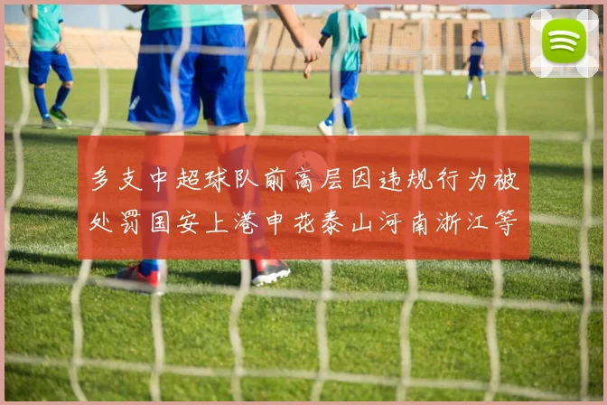 多支中超球队前高层因违规行为被处罚国安上港申花泰山河南浙江等队受影响