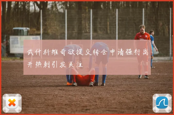 武什科维奇欲提交转会申请强行离开热刺引发关注